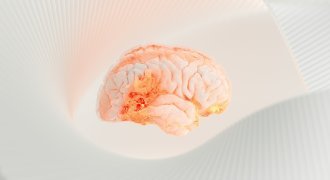 Building Future-Fit Firms – The Case for Neuro-Inclusion  